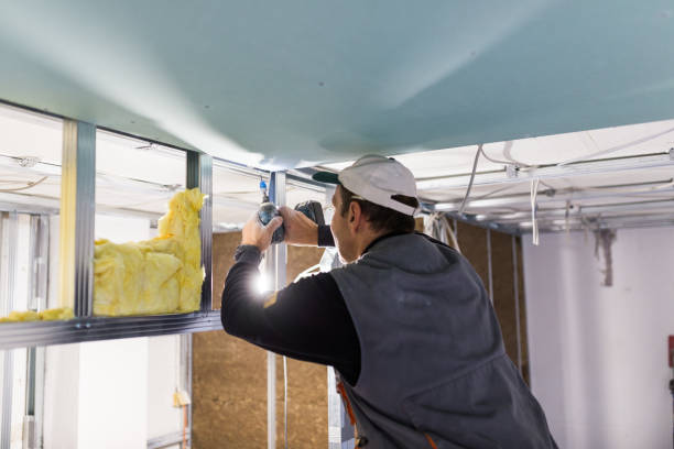 Best Residential Insulation in Port Huron, MI
